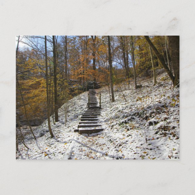 Hemlock Cliffs, Indiana Postkarte (Vorderseite)