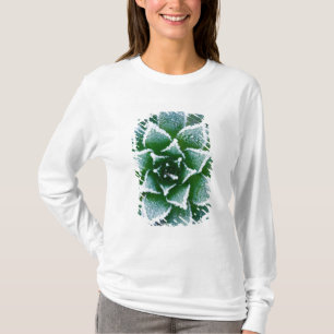 Hen & Chicks sukkultiviert mit Frost am Anfang T-Shirt