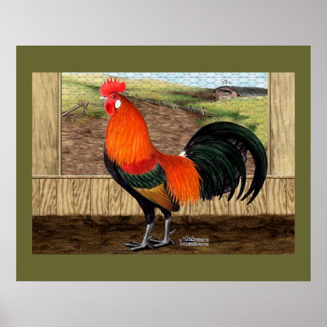 Hen House Hero Poster (Vorne)