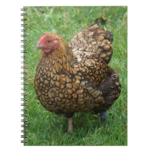 Hen Notebook Notizblock
