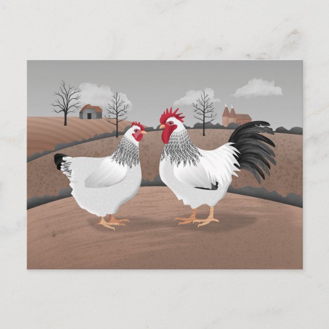 Hen & Rooster Postkarte (Vorderseite)