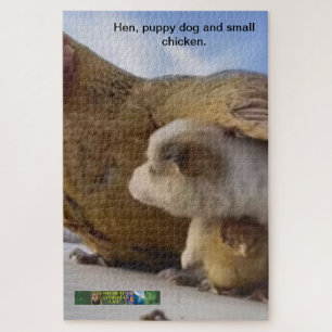 Hen, Welpen und kleines Hühnerpuzzle. Puzzle