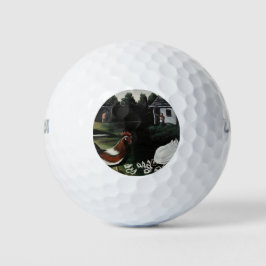 Hen with her Chicks in a Rural Farmyard Landscape Golfball