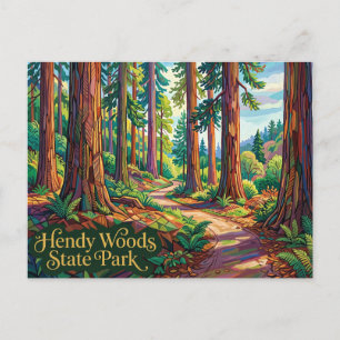 Hendy Woods State Park Kalifornien Postkarte