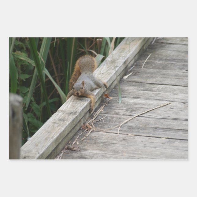 Hengst Geschenkpapier Set (Vorderseite)