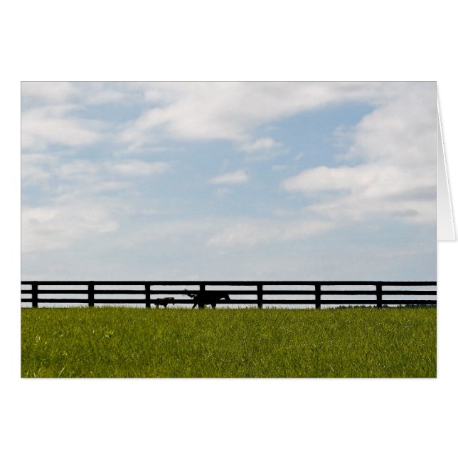 Hengstfarm (Vorderseite (Horizontal))