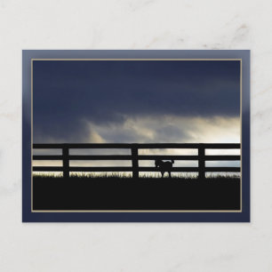 Hengstfarm Postkarte