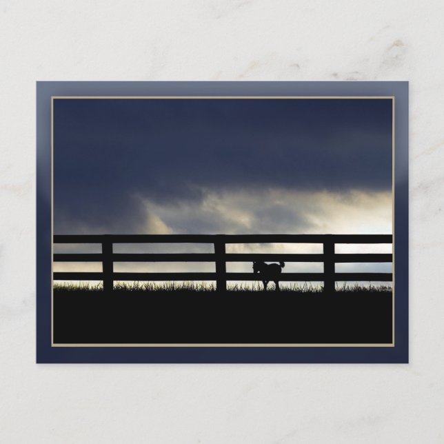 Hengstfarm Postkarte (Vorderseite)