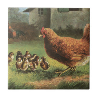 Henne und Küken Fliese