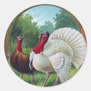 Henne und Tom Truthahn Vintage Thanksgiving Runder Aufkleber