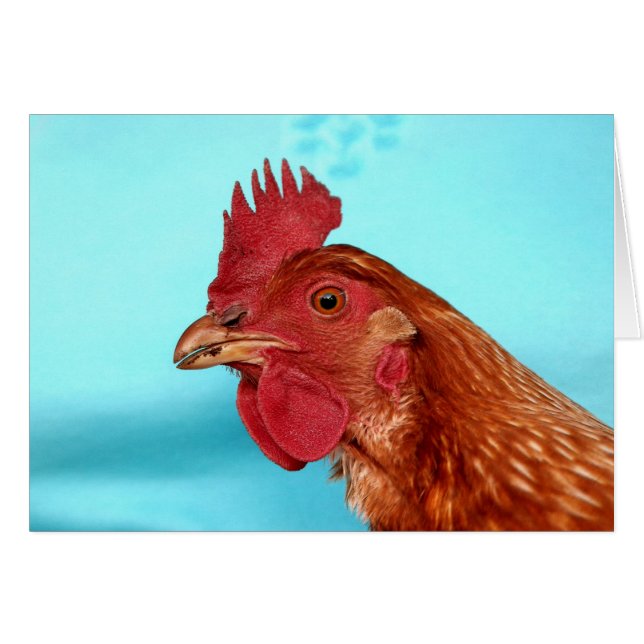 Henny Penny (Vorderseite (Horizontal))