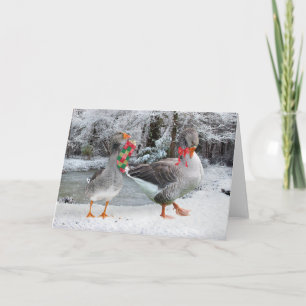 "Henri & Colette" Grußkarte Karte