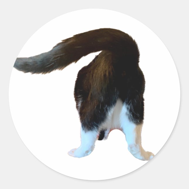 Henri Hintern Sticker (Vorderseite)