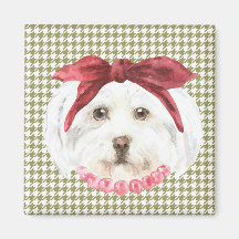 Henrietta, der Havanese Magnet