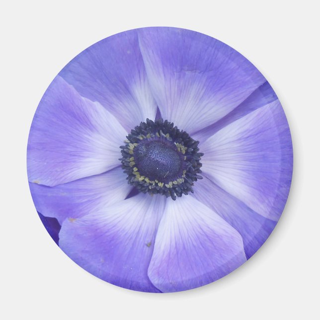 Henrietta Magnet (Vorne)