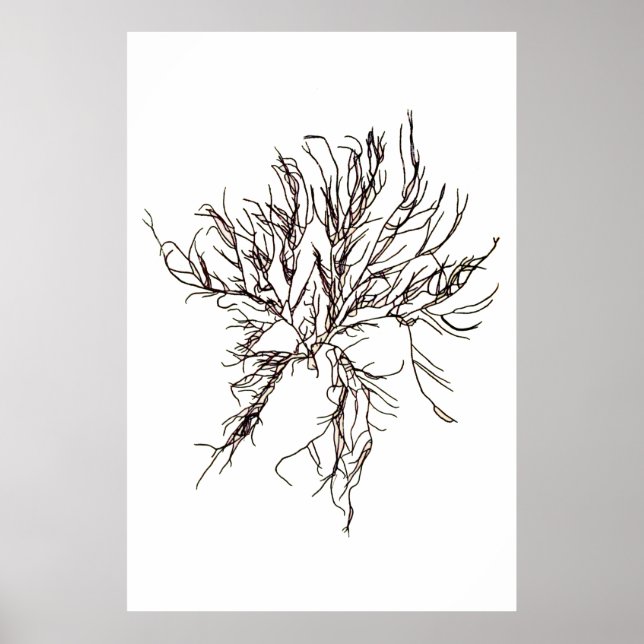 Henry Bradburys gepresste Algen-Sechstel von zehn Poster (Vorne)