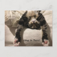 Henry Cat Get Well bald ermutigen oder Beileid