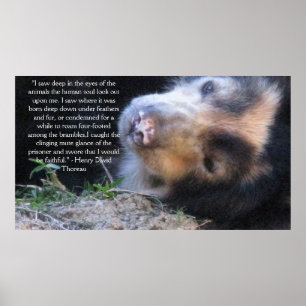 Henry David Thoreau ANIMAL REGHTS Zitat Poster