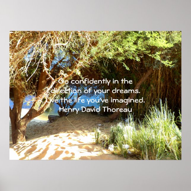 Henry David Thoreau Motivierend Dream Quotation Poster (Vorne)