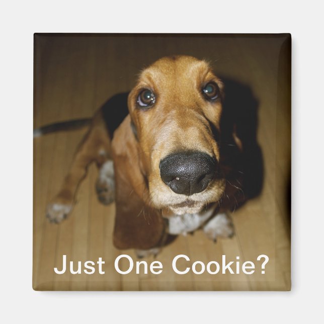 Henry Longfellow Magnet (Vorne)