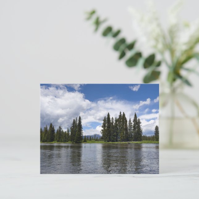 Henrys Fork im Targhee National Forest I Postkarte (Stehend Vorderseite)