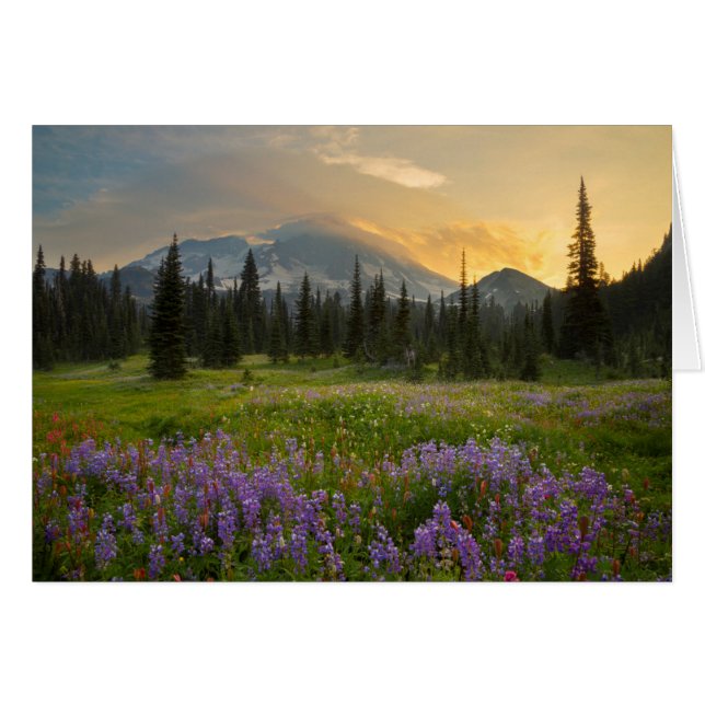 Henry's Jagdgebiet bei Sonnenaufgang (Vorderseite (Horizontal))