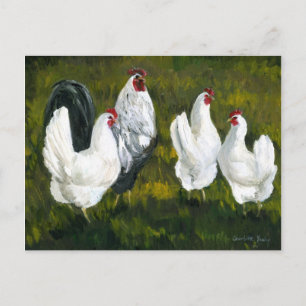 "Hens & Rooster" Art Reproduction Postcard Postkarte