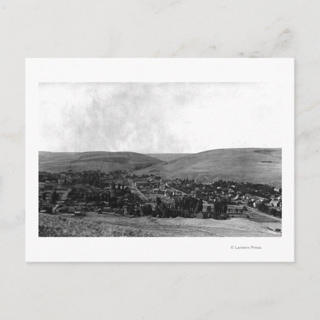 Heppner, Oregon Birds Augenblickaufnahme Postkarte (Vorderseite)