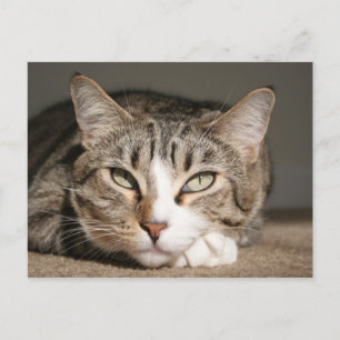 Her name is Asia Postkarte