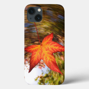 Herabfallendes Blatt von einem Baum im Herbst Case-Mate iPhone Hülle