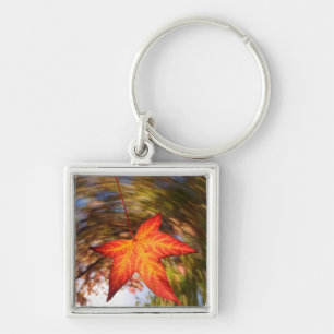 Herabfallendes Blatt von einem Baum im Herbst Schlüsselanhänger