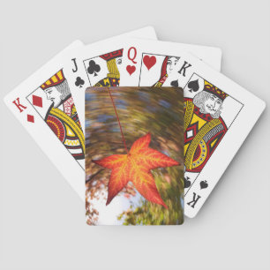 Herabfallendes Blatt von einem Baum im Herbst Spielkarten