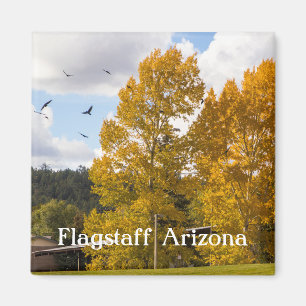 Herabsetzung des Arizona Magnet in Flagstaff