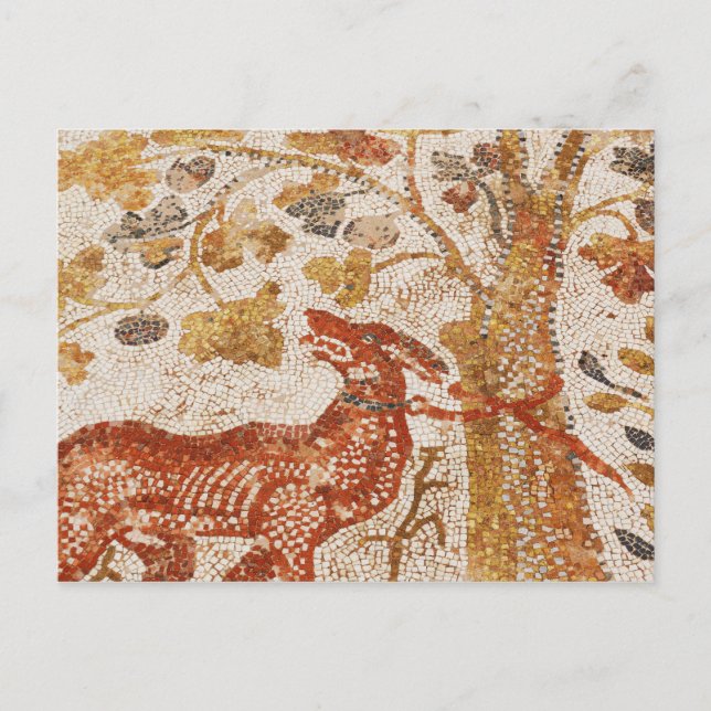 Heraclea Dog Mosaic Postkarte (Vorderseite)