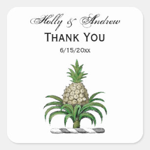 Heraldischer Ananas-Vorbote aus Wappen Quadratischer Aufkleber