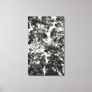 Herauf durch die Bäume 2018% pipe% SVP-Bilder Leinwanddruck