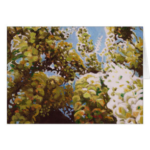 Herauf in Glyzinien 2011