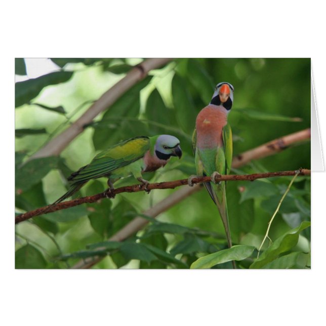 Heraus auf einem Glied (Vorderseite (Horizontal))