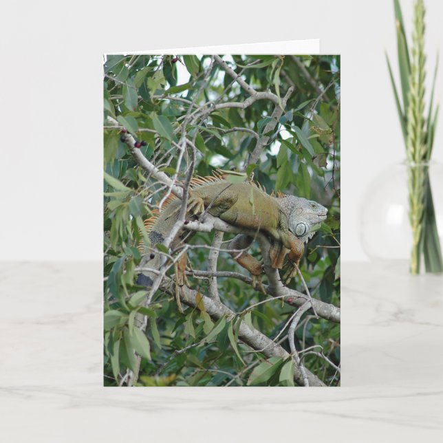 Heraus auf einer Glied-Karte Karte (Vorderseite)