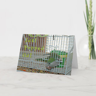 Heraus geknallt karte