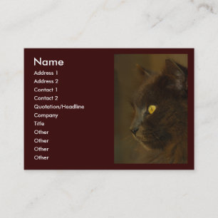 Heraus schauen visitenkarte