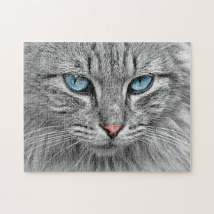 Herausforderung der grauen Tabby Katze mit blauen  Puzzle
