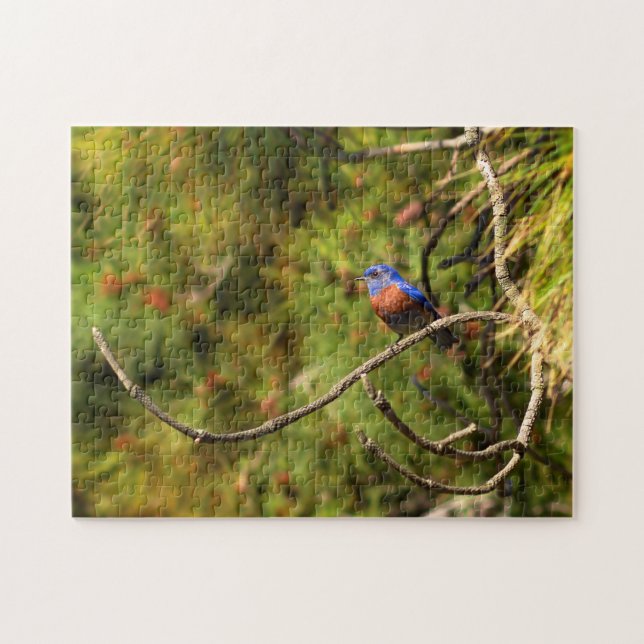 Herausforderung des Bluebird-Puzzles Puzzle (Horizontal)