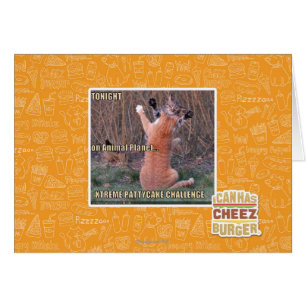 Herausforderung Xtremes PattyCake