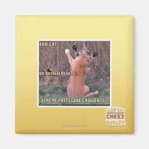 Herausforderung Xtremes PattyCake Magnet