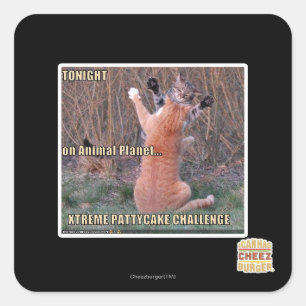 Herausforderung Xtremes PattyCake Quadratischer Aufkleber