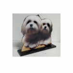 Herausgeschnittene die AcrylFoto-Skulptur stehen Freistehende Fotoskulptur<br><div class="desc">Entwerfen Sie Ihre Selbst, indem Sie Ihre digitalisierten Lieblingsbilder oder Fotos laden, um in Ihrem Zuhause oder in Büro anzuzeigen! Zazzle ermöglichen kundenspezifische Fotoskulpturen Ihnen, Ihr LieblingsFoto zu drehen, oder Porträt in ein spezielles Andenken, machen Ihre Fotografie oder digitales Foto zu eine 3-D Fotoskulptur, manchmal gekennzeichnet als ein Fotoausschnitt. Hohe...</div>