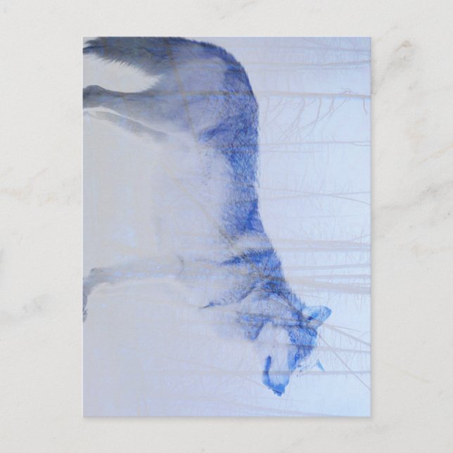 Herausgestellter Wolf Postkarte (Vorderseite)