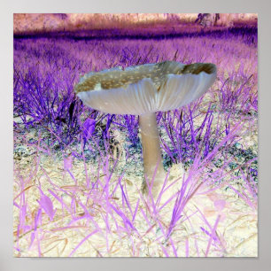 Herausgestelltes Effekt-Pilz-Plakat Poster