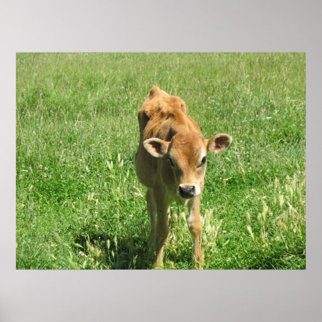 Herausragende in seinem Bereich Foto Print Poster (Vorne)